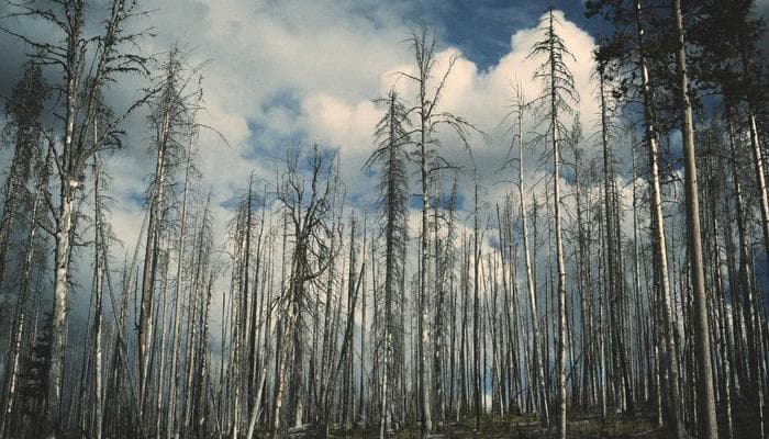 Unboxing and first impressions of the latest wireless earbuds
